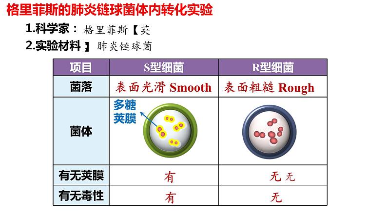 （人教版2019必修2）高一生物同步练习 3.1 DNA是主要的遗传物质（教学课件+课后练习+解析）08