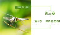 高中生物人教版 (2019)必修2《遗传与进化》第3章 基因的本质第2节 DNA的结构教学课件ppt