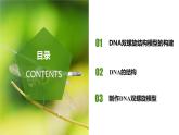 （人教版2019必修2）高一生物同步练习 3.2  DNA的结构（教学课件+课后练习+解析）