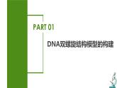 （人教版2019必修2）高一生物同步练习 3.2  DNA的结构（教学课件+课后练习+解析）