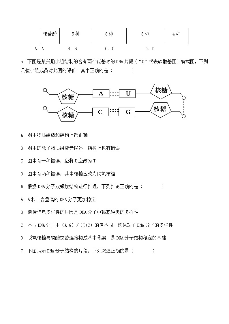 （人教版2019必修2）高一生物同步练习 3.2  DNA的结构（原卷版+解析）第2页