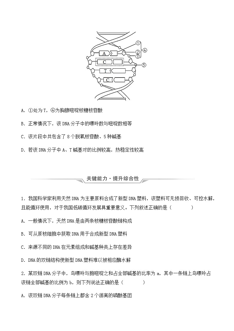 （人教版2019必修2）高一生物同步练习 3.2  DNA的结构（原卷版+解析）第3页