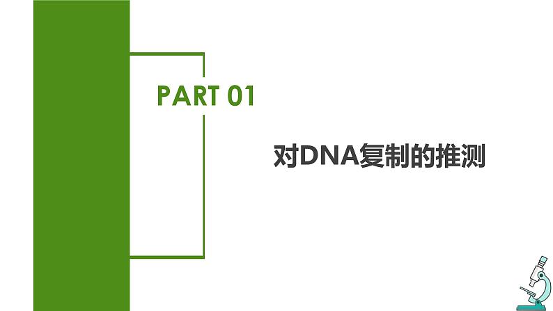 （人教版2019必修2）高一生物同步练习 3.3 DNA的复制（教学课件+课后练习+解析）04