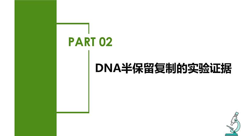 （人教版2019必修2）高一生物同步练习 3.3 DNA的复制（教学课件+课后练习+解析）06