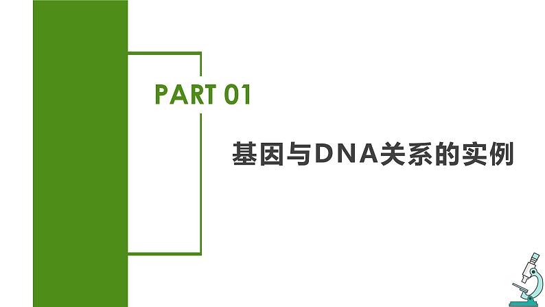 （人教版2019必修2）高一生物同步练习 3.4 基因通常是有遗传效应的DNA片段（教学课件+课后练习+解析）04