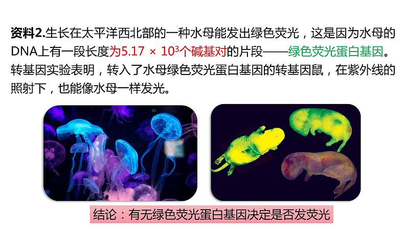 （人教版2019必修2）高一生物同步练习 3.4 基因通常是有遗传效应的DNA片段（教学课件+课后练习+解析）06