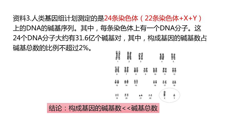 （人教版2019必修2）高一生物同步练习 3.4 基因通常是有遗传效应的DNA片段（教学课件+课后练习+解析）07