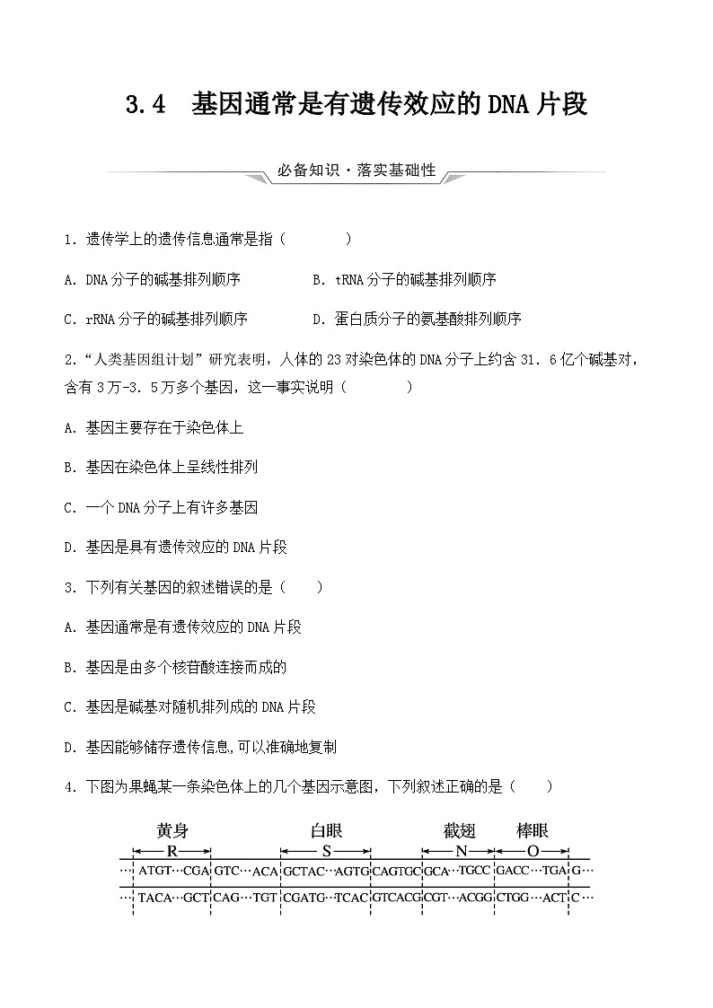 （人教版2019必修2）高一生物同步练习 3.4 基因通常是有遗传效应的DNA片段（原卷版+解析）第1页