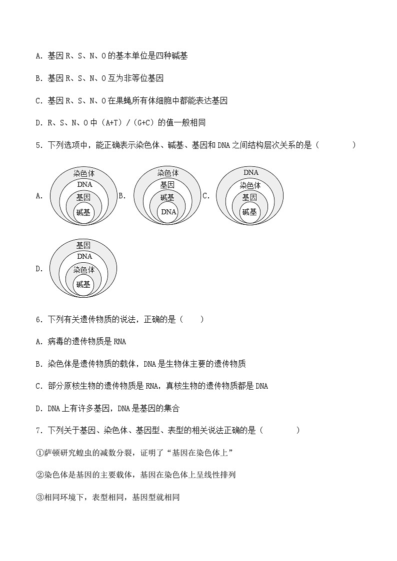 （人教版2019必修2）高一生物同步练习 3.4 基因通常是有遗传效应的DNA片段（原卷版+解析）第2页