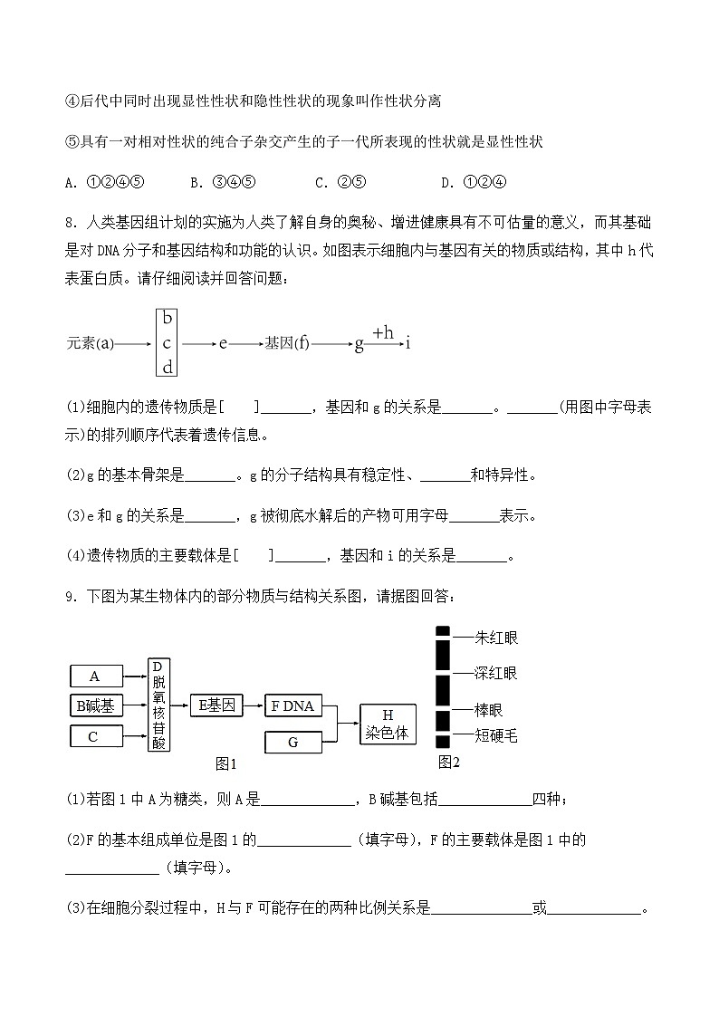 （人教版2019必修2）高一生物同步练习 3.4 基因通常是有遗传效应的DNA片段（原卷版+解析）第3页