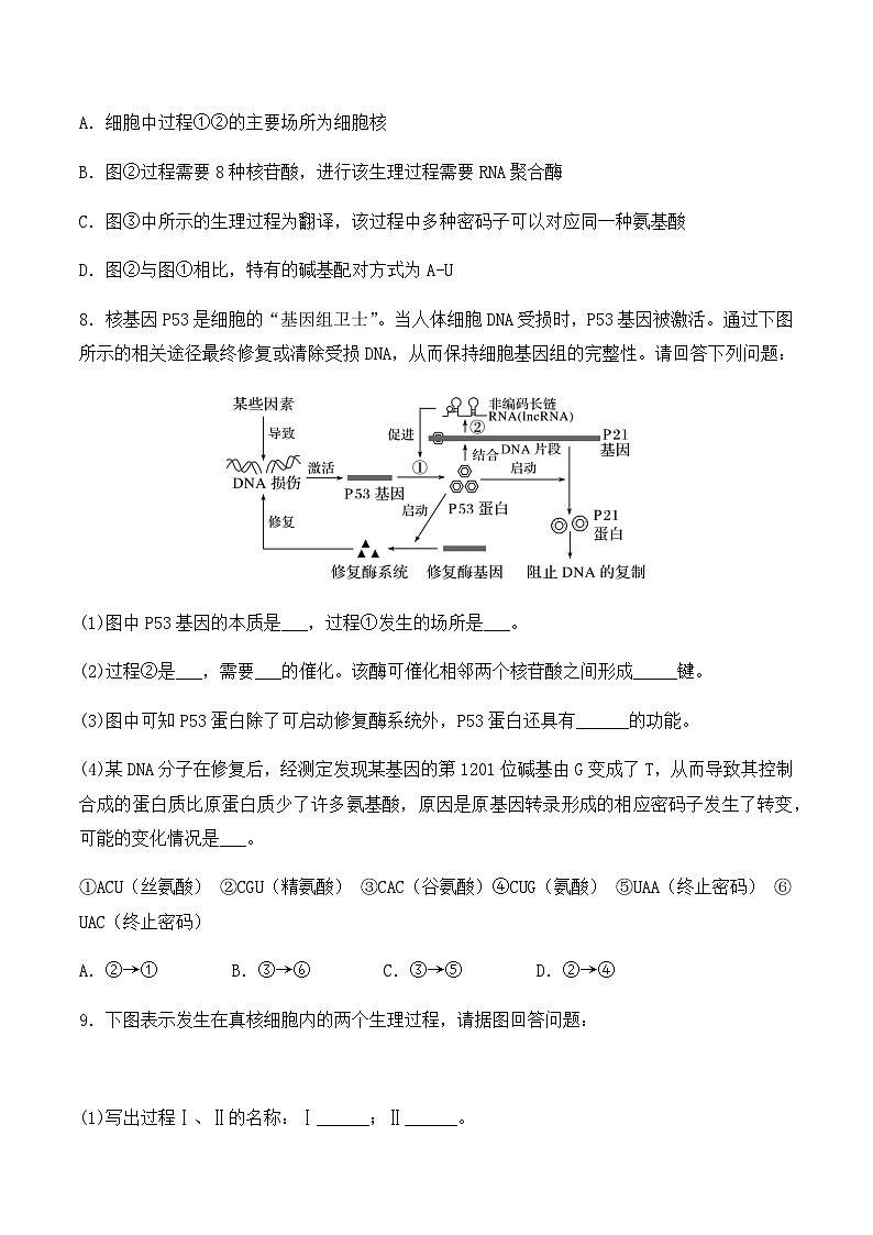 （人教版2019必修2）高一生物同步练习 4.1 基因指导蛋白质的合成（原卷版+解析）第3页
