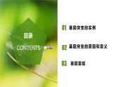 （人教版2019必修2）高一生物同步练习 5.1 基因突变和基因重组（教学课件+课后练习+解析）