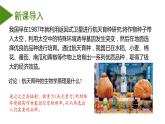 （人教版2019必修2）高一生物同步练习 5.1 基因突变和基因重组（教学课件+课后练习+解析）