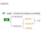 （人教版2019必修2）高一生物同步练习 5.1 基因突变和基因重组（教学课件+课后练习+解析）