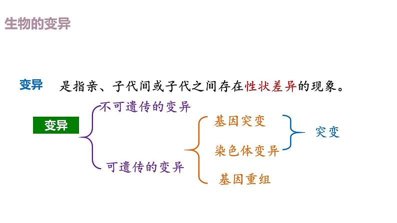 （人教版2019必修2）高一生物同步练习 5.1 基因突变和基因重组（教学课件）第4页