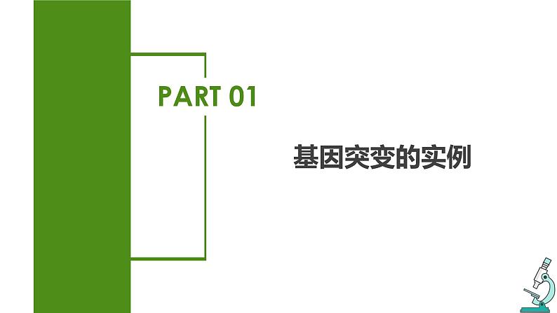 （人教版2019必修2）高一生物同步练习 5.1 基因突变和基因重组（教学课件）第5页