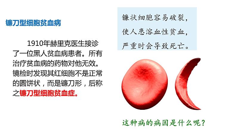 （人教版2019必修2）高一生物同步练习 5.1 基因突变和基因重组（教学课件）第6页