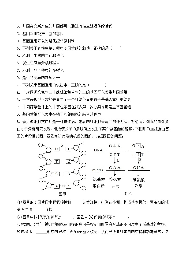 （人教版2019必修2）高一生物同步练习 5.1 基因突变和基因重组（原卷版+解析）第2页