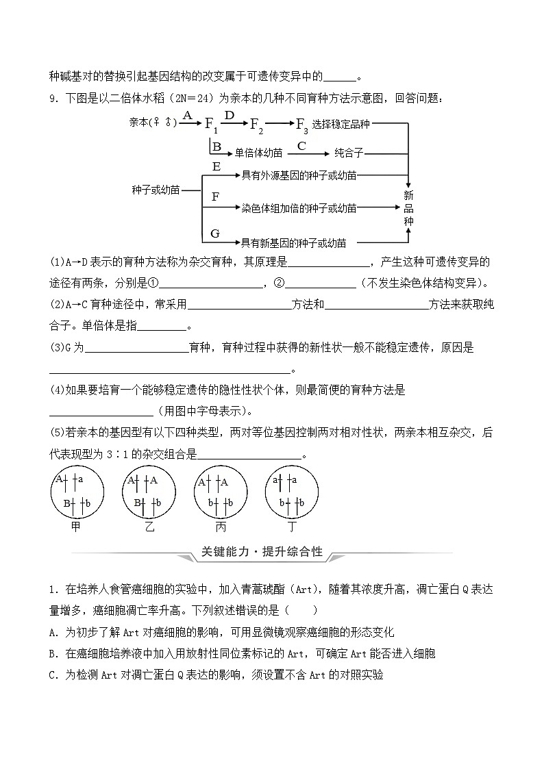 （人教版2019必修2）高一生物同步练习 5.1 基因突变和基因重组（原卷版+解析）第3页