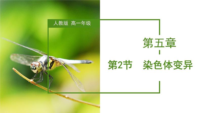 （人教版2019必修2）高一生物同步练习 5.2 染色体变异（教学课件）第1页