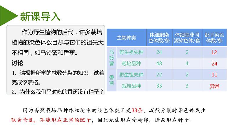 （人教版2019必修2）高一生物同步练习 5.2 染色体变异（教学课件）第3页