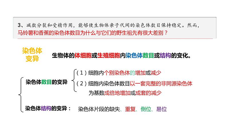 （人教版2019必修2）高一生物同步练习 5.2 染色体变异（教学课件）第4页