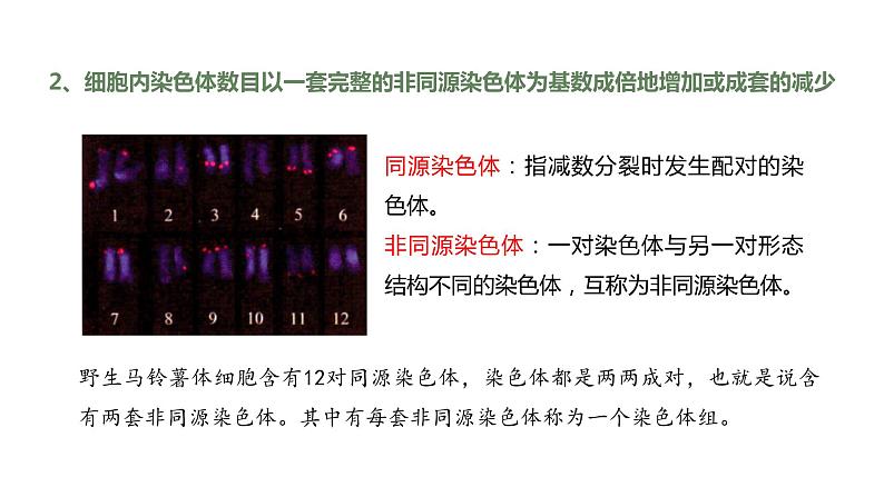 （人教版2019必修2）高一生物同步练习 5.2 染色体变异（教学课件）第7页