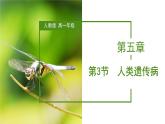（人教版2019必修2）高一生物同步练习 5.3 人类遗传病（教学课件）