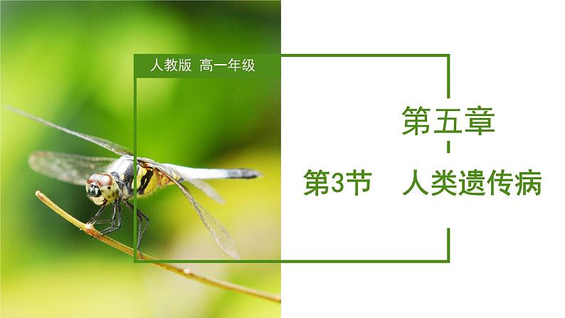 （人教版2019必修2）高一生物同步练习 5.3 人类遗传病（教学课件）01