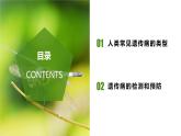 （人教版2019必修2）高一生物同步练习 5.3 人类遗传病（教学课件）