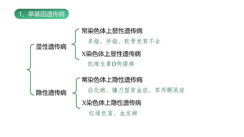 （人教版2019必修2）高一生物同步练习 5.3 人类遗传病（教学课件）07