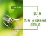 （人教版2019必修2）高一生物同步练习 6.2 自然选择与适应的形成（教学课件+课后练习+解析）