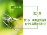 （人教版2019必修2）高一生物同步练习 6.3.1 种群基因组成的变化与物种的形成（教学课件+课后练习+解析）