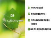 （人教版2019必修2）高一生物同步练习 6.3.1 种群基因组成的变化与物种的形成（教学课件+课后练习+解析）
