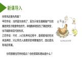 （人教版2019必修2）高一生物同步练习 6.3.1 种群基因组成的变化与物种的形成（教学课件+课后练习+解析）