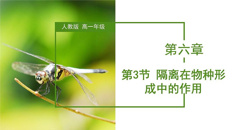 （人教版2019必修2）高一生物同步练习 6.3.2 隔离在物种形成中的作用（教学课件+课后练习+解析）01