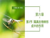 （人教版2019必修2）高一生物同步练习 6.3.2 隔离在物种形成中的作用（教学课件+课后练习+解析）