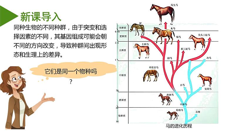 （人教版2019必修2）高一生物同步练习 6.3.2 隔离在物种形成中的作用（教学课件+课后练习+解析）03