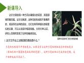 （人教版2019必修2）高一生物同步练习 6.4 协同进化与生物多样性的形成（教学课件+课后练习+解析）