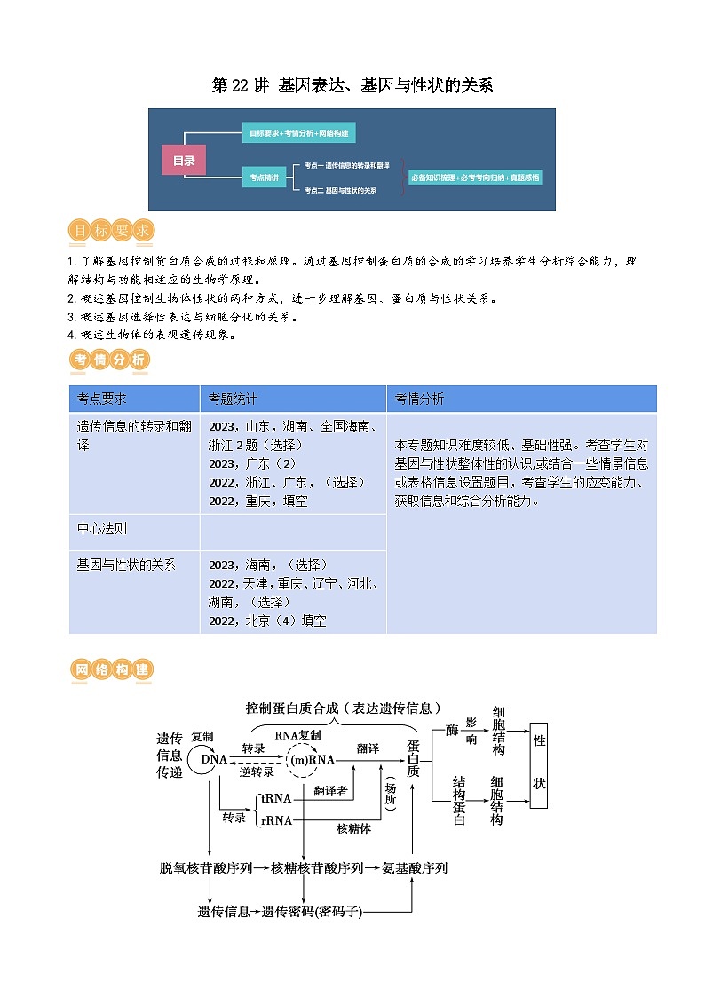 第22讲 基因的表达、基因与性状的关系（讲义）（教师版）第1页