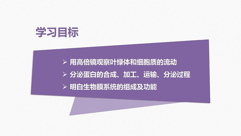 （人教版2019必修1）高一生物同步精品课件 3.2 细胞器之间的分工合作（精讲课件）（第2课时）第2页