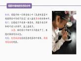 （人教版2019必修1）高一生物同步精品 3.2 细胞器之间的分工合作（精讲课件+教学设计）（第2课时）