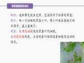 （人教版2019必修1）高一生物同步精品 3.2 细胞器之间的分工合作（精讲课件+教学设计）（第2课时）
