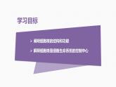 （人教版2019必修1）高一生物同步精品 3.3 细胞核的结构和功能（精讲课件+教学设计）