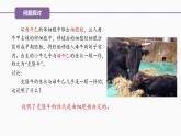 （人教版2019必修1）高一生物同步精品 3.3 细胞核的结构和功能（精讲课件+教学设计）