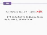 （人教版2019必修1）高一生物同步精品 3.3 细胞核的结构和功能（精讲课件+教学设计）