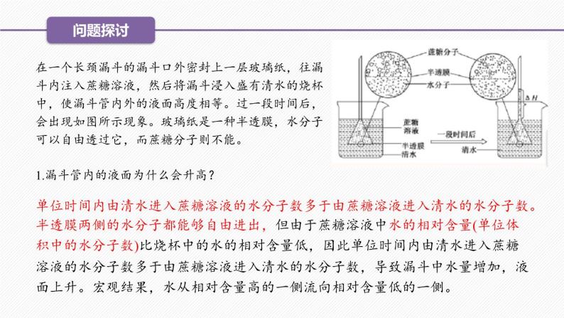 （人教版2019必修1）高一生物同步精品 4.1 被动运输（精讲课件+教学设计）03