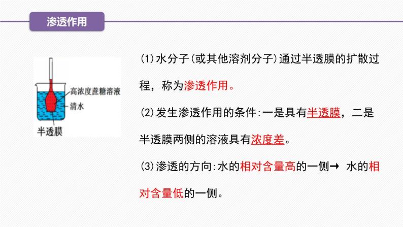 （人教版2019必修1）高一生物同步精品 4.1 被动运输（精讲课件+教学设计）07