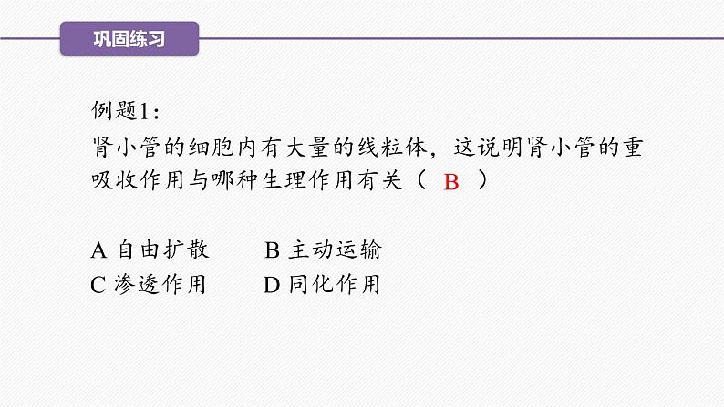 （人教版2019必修1）高一生物同步精品 4.2 主动运输与胞吞、胞吐（精讲课件+教学设计）04