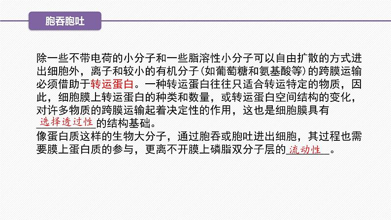 （人教版2019必修1）高一生物同步精品 4.2 主动运输与胞吞、胞吐（精讲课件+教学设计）07